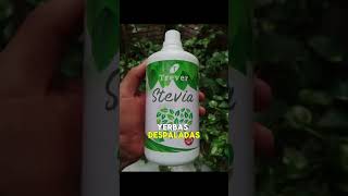 Si buscas productosorganicos y Naturales para tu dietetica mira este video semillaviva [upl. by Aisyla765]