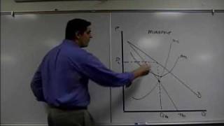 Monopoly Graph Review Microeconomics [upl. by Dlanod428]