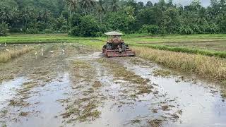 Kubota l4508 4wheel tractor working in mud 😲😲😲😲 [upl. by Cigam]