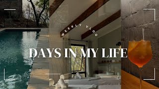 Weekly Vlog 7 Miombo Mountain Lodge Staycation zimbabwe zimyoutubers harare [upl. by Harat]