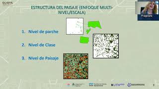 Aplicación de FRAGSTATS [upl. by Akinnor]