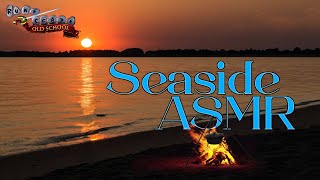 OSRS ASMR Cooking at the Beach [upl. by Hwu]