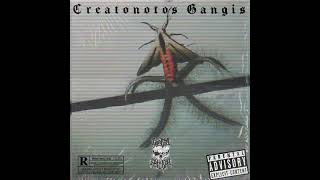 cuartaestirpeoficial CREATONOTOS GANGIS 2023 [upl. by Bernie]