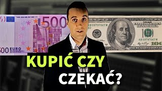 Dolary i Euro w 2024 Czas Warto Kupić Nowe Prognozy Dla Walut Na Koniec Roku [upl. by Chane]