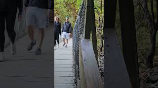 Lets explore Watkins Glen fallcolors travel hike nature [upl. by Maxine875]