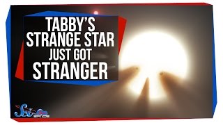 Tabbys Strange Star Just Got Stranger [upl. by Dragone]