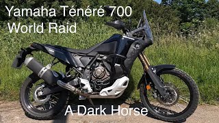 Yamaha Ténéré 700 World Raid [upl. by Odnamla]