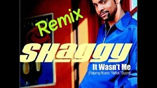 Shaggy It Wasnt Me Remix garage [upl. by Kym652]