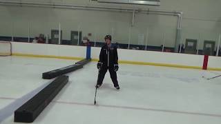 Hockey 2 The Backward Swizzles 6 in a Row [upl. by Limber943]