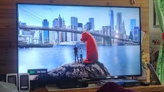 Opening to Clifford The Big Red Dog 2022 BluRay [upl. by Anyal157]