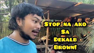 STOP NA AKO SA DEKALB BROWN [upl. by Jamin603]