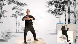 Learn Tai Chi Online with Jet Lis Online Academy  Lesson 1 [upl. by Banna]