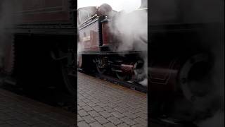 Double Fairlie WHEELSLIP train railway steamengine [upl. by Siari]