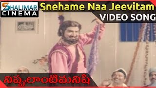 Nippulanti Manishi Movie  Snehame Naa Jeevitam Video Song  NTR Latha  ShalimarCinema [upl. by Tacy]