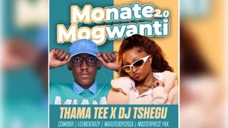 Thama Tee amp DJ Tshegu  Monate mogwanti 20 Ft Cowboii LeeMcKrazy Matuteboyrsa amp Master Piece YVK [upl. by Yoj185]