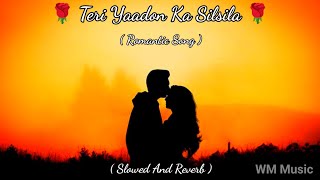 Teri Yaadon Ka Silsila  Hindi Song  Lofi Song  Slowed And Reverb [upl. by Thury]