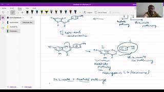 Flavonoids And Isoflavonoids  Biosynthesis  Kirti Patel [upl. by Durnan174]