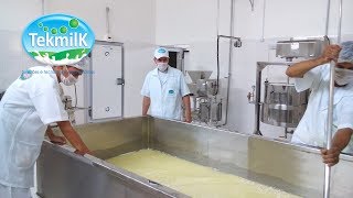 Produção de queijo mussarela  Como produzir queijo mussarela  laticínio formoso [upl. by Keithley]