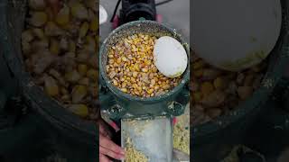 Corn kernels for making pellets pelletmaker pelletmachine pelletmachinefactory pellet feed [upl. by Werdnaed]