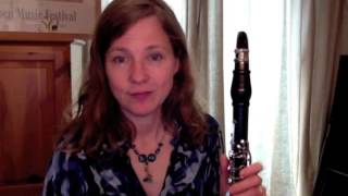 Clarinet Lesson Beginners  making a great first sound [upl. by Anyd976]