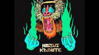 Hiatus Kaiyote  06 Breathing Underwater [upl. by Tesler]