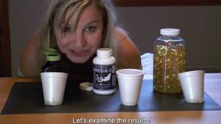 SHOCKING Fish Oil Omega3s Eat Styrofoam Cups [upl. by Arytas664]