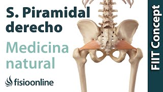 Síndrome del piramidal derecho  Visión desde la fisioterapia y la medicina natural [upl. by Anomahs]