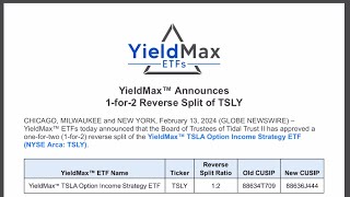 YIELDMAX TSLY REVERSE SPLIT IS HERE  Portrait View [upl. by Ahseiuqal806]