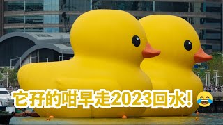 2023 06 18 Double Duck [upl. by Marala785]