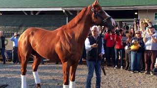 Justify Triple Crown [upl. by Wes]