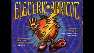 ELECTRIC APRICOT  Hey Are You Going To Burning Man [upl. by Dowdell269]