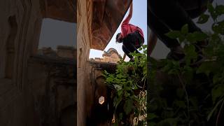 Parkour Pov 😱 💥 shotrs mountains parkourparkour shortsviral indian climbing parkour flip [upl. by Inot415]