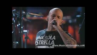 Calle 13  Latinoamerica  Video  HD [upl. by Fadas]