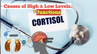 Cortisol  All about cortisol serum what is cortisol functions causes of low and high cortisol [upl. by Canica648]