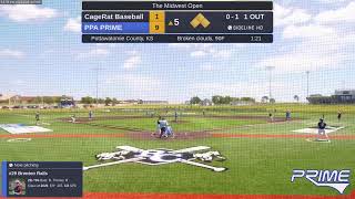 PPA PRIME vs CageRat Baseball 20240622 [upl. by Westerfield]