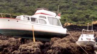 Knowing the Tides  Boat Safety  Maritime New Zealand [upl. by Lesiram]