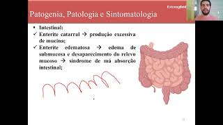 Curso de Parasitologia  Aula 17  Estrongiloidíase  Parte 02 [upl. by Tiffanie]