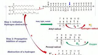 Chemical Changes in Fats amp Oils Lipid Oxidation [upl. by Ramhaj]