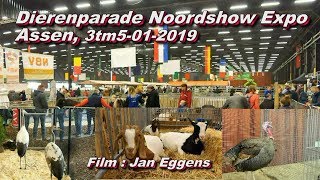 Dierenparade Noordshow Expo Assen 3tm5 01 2019 [upl. by Renato36]