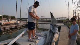 J24 Rigging Basics  Rigging the genoa [upl. by Rush]