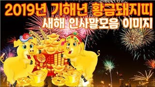 2019년 기해년 황금돼지띠2019년 새해 인사말 추천 새해 인사말모음 이미지 [upl. by Mullins]