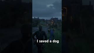 I saved a dog in Rdr2 shorts rdr2 rdr2funny rdr2missions ￼ [upl. by Albur]