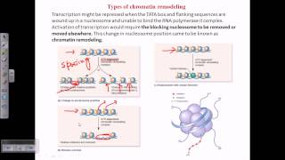 Types of chromatin remodeling [upl. by Ottillia]