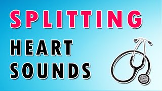 Split of Heart Sounds [upl. by Ulita]