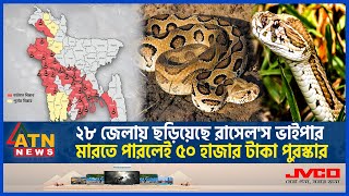 ২৮ জেলায় ছড়িয়েছে রাসেলস ভাইপার মারতে পারলেই ৫০ হাজার টাকা পুরস্কার  Russels Viper  ATN News [upl. by Ax]