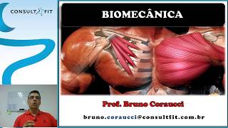 Curso de Biomecânica e Cinesiologia Aplicada à Musculação [upl. by Rundgren]