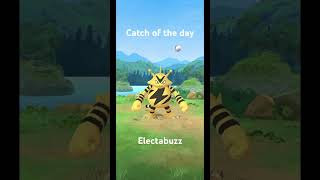 Catch of the day Electabuzz [upl. by Nawiat]