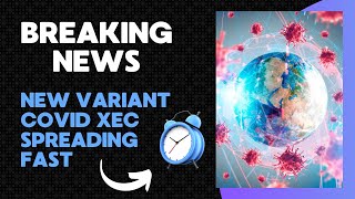 New variant Covid XEC spreading fast [upl. by Naira5]