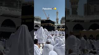 Sheikh Usaamah Khayyat Prays For Palestine [upl. by Orazio]