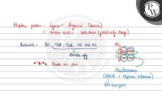 Read the following statements and choose the set of correct statementsA Euchromatin is loosely [upl. by Sidney105]